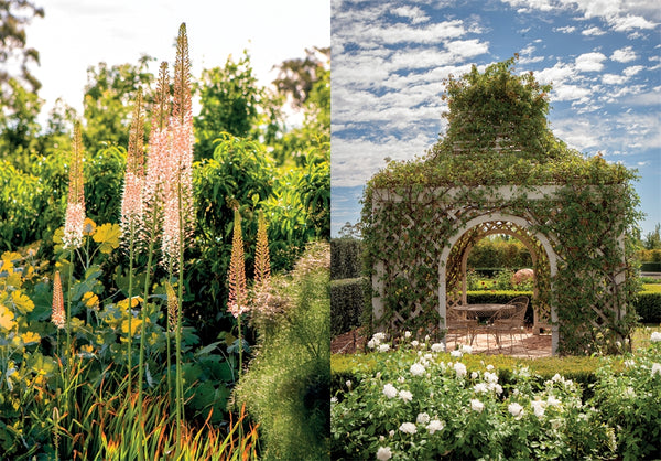 Paul Bangay: A life in garden design - COVER DAMAGE