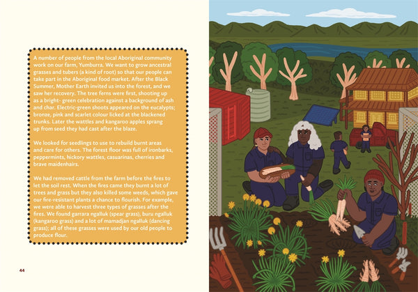 Caring for Country: First Knowledges for younger readers