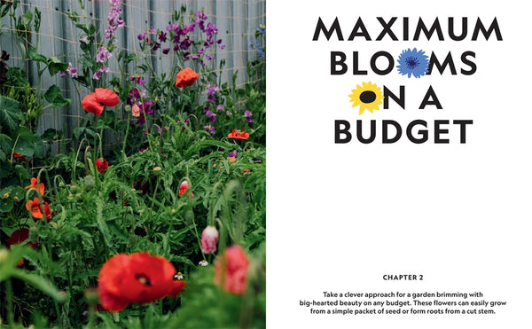 The Super Bloom Handbook