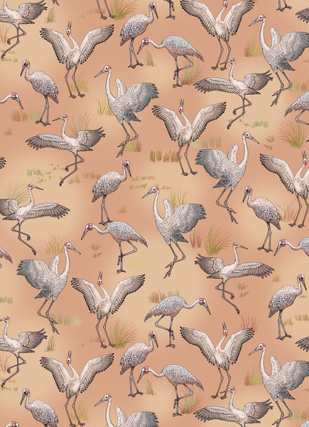 All Wrapped Up Flora & Fauna: Eloise Short