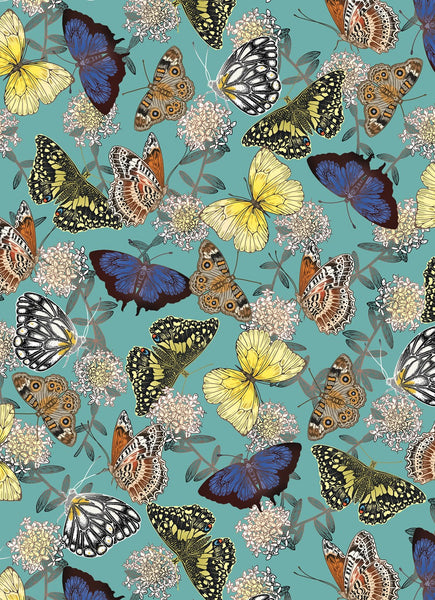 All Wrapped Up Flora & Fauna: Eloise Short