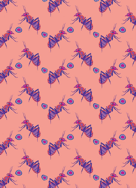 All Wrapped Up: Birds & Bugs by Bronwyn Bancroft