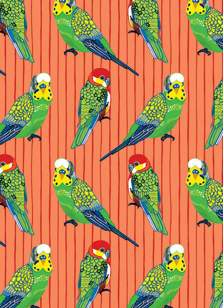 All Wrapped Up: Birds & Bugs by Bronwyn Bancroft