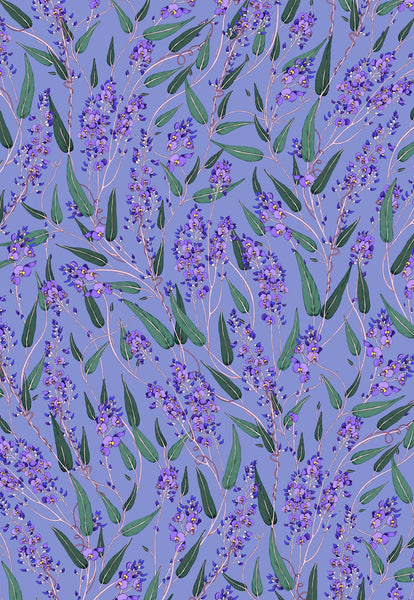 All Wrapped Up Botanicals: Edith Rewa Gift Cards set of 16