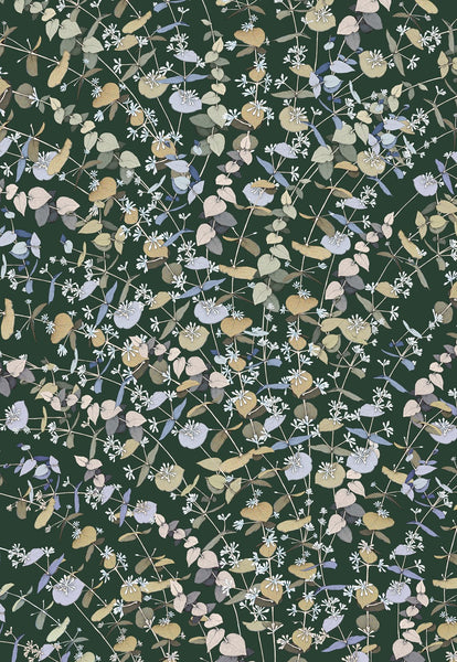 All Wrapped Up Botanicals: Edith Rewa Gift Cards set of 16