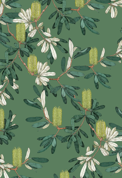All Wrapped Up Botanicals: Edith Rewa Gift Cards set of 16
