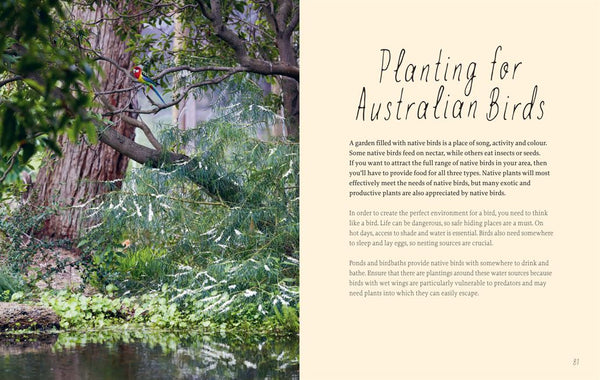 Planting for Native Birds, Bees and Butterflies