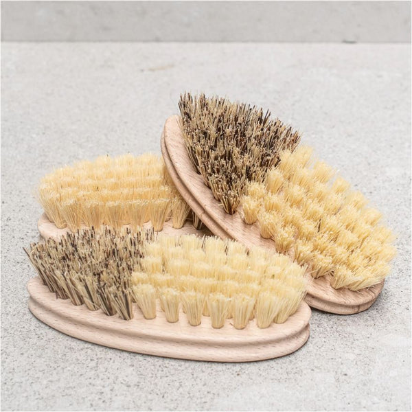 Vegetable Brush Two Tone Bristle