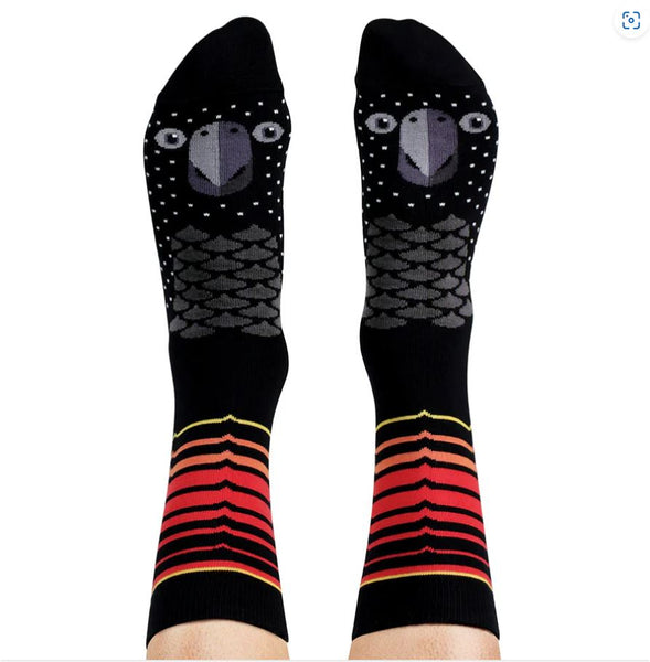 Red-Tailed Black Cockatoo Aussie Socks