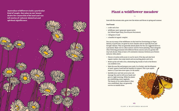100 Australian Wildflowers