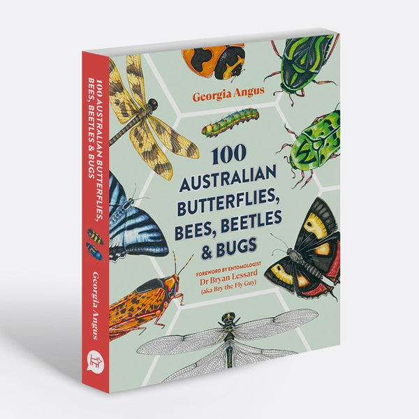 100 Australian Butterflies, Bees, Beetles & Bugs