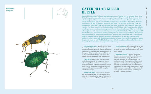 100 Australian Butterflies, Bees, Beetles & Bugs