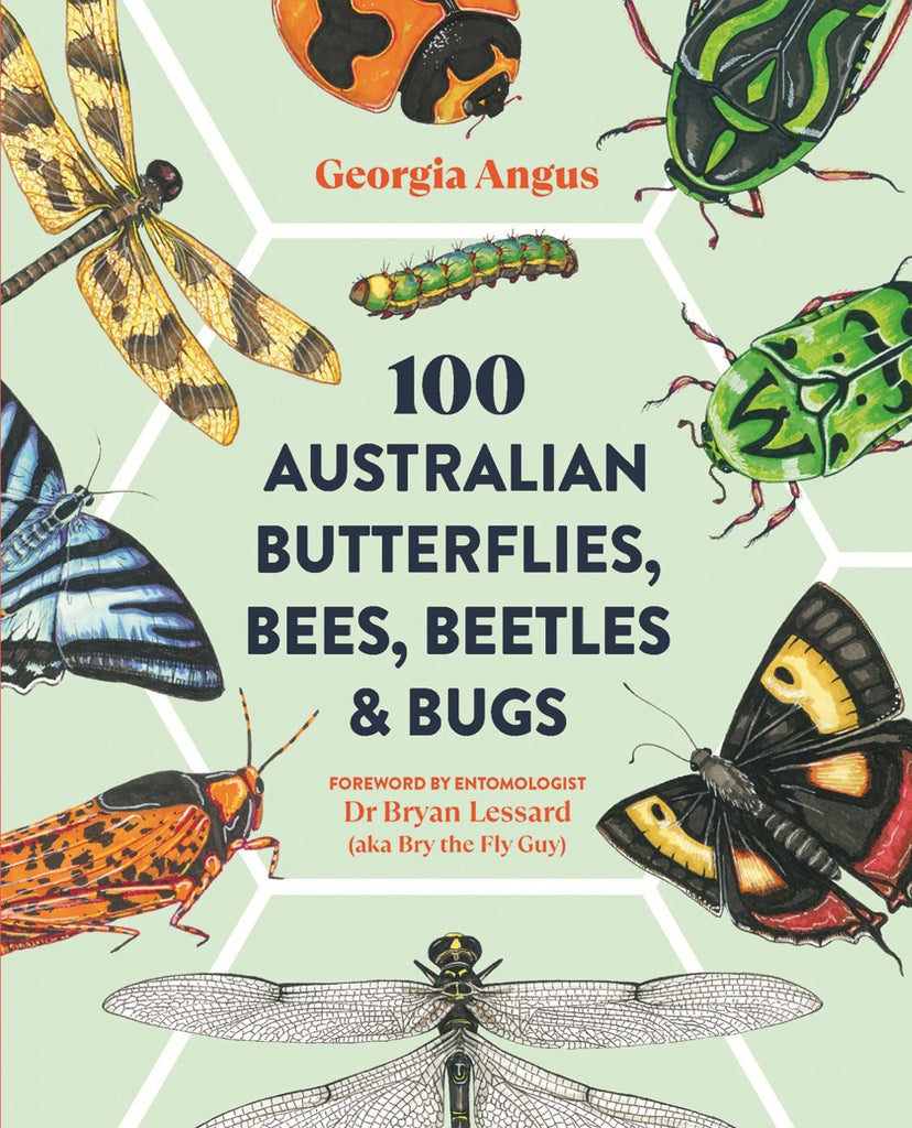 Cover of the book '100 Australian Butterflies, Bees, Beetles & Bugs' featuring illustrations of various Australian insects.