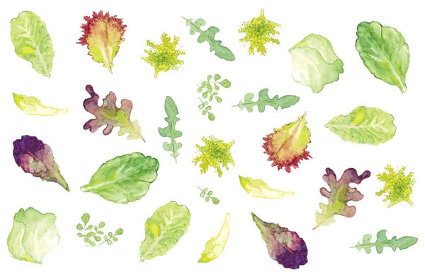 The Kitchen Garden