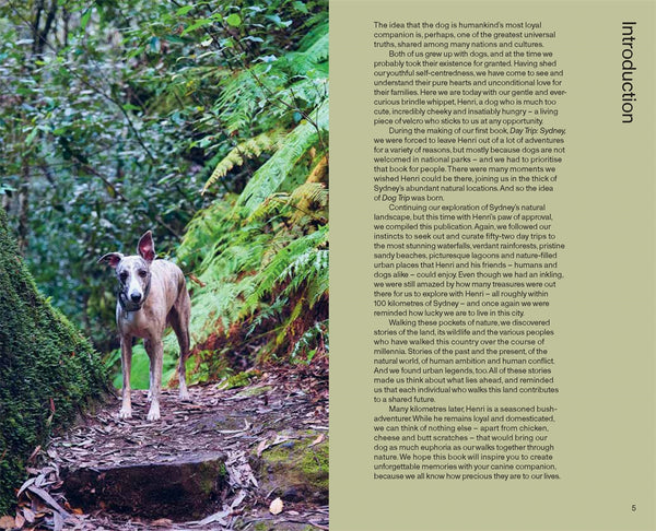 Dog Trip Sydney: 52 dog-friendly nature adventures