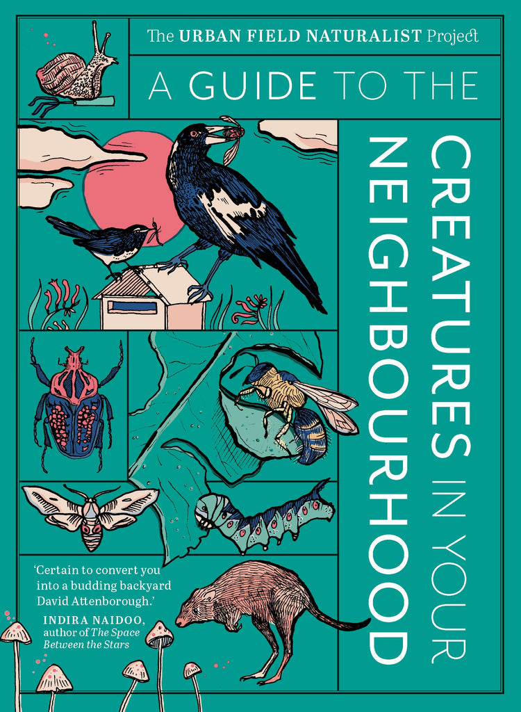 The image features the cover of the book titled "A Guide to the Creatures in Your Neighbourhood," published by the Urban Field Naturalist Project. The cover is vibrant and colorful, showcasing a variety of illustrated creatures such as a crow, a butterfly, a bee, and a possum, each accompanied by a detailed and artistic depiction.