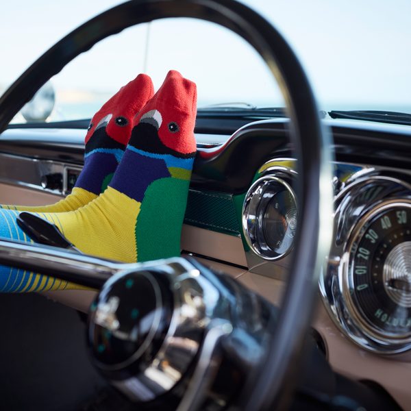Gouldian Finch Aussie Socks