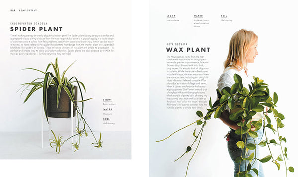 Leaf Supply