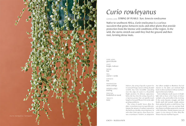 Plantopedia: The definitive guide to houseplants
