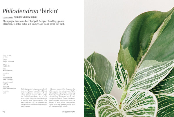 Plantopedia: The definitive guide to houseplants