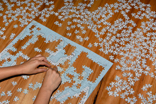 Public Sydney: 1000 Piece Jigsaw Puzzle