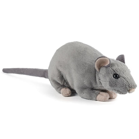 Rat with Squeak