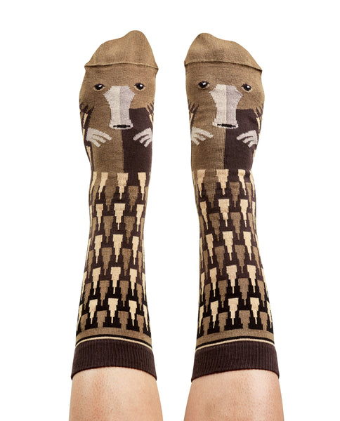Echidna Aussie Socks