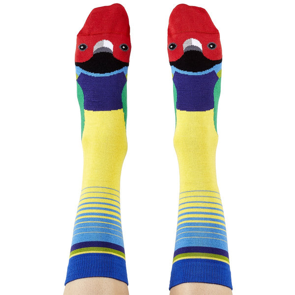 Gouldian Finch Aussie Socks
