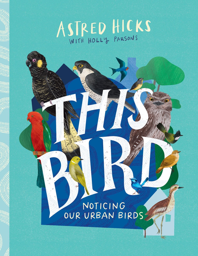 Noticing Our Urban Birds