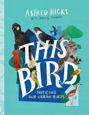 Noticing Our Urban Birds