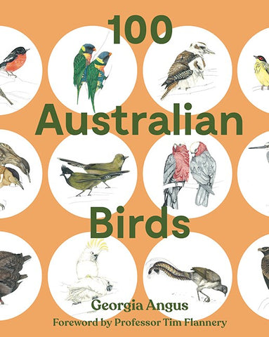 Book cover of '100 Australian Birds' with illustrations of various birds on an orange background.