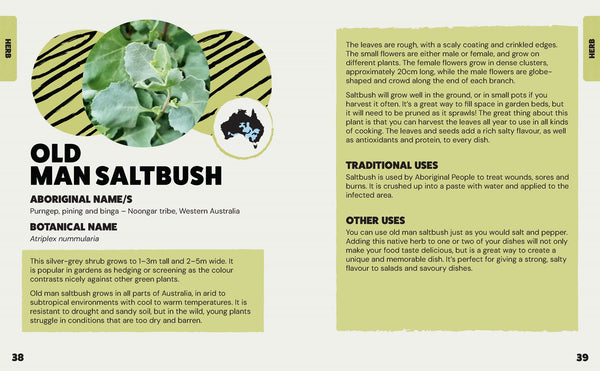 Bush Tukka Guide for Kids