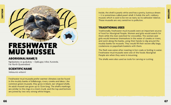 Bush Tukka Guide for Kids