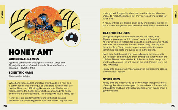 Bush Tukka Guide for Kids