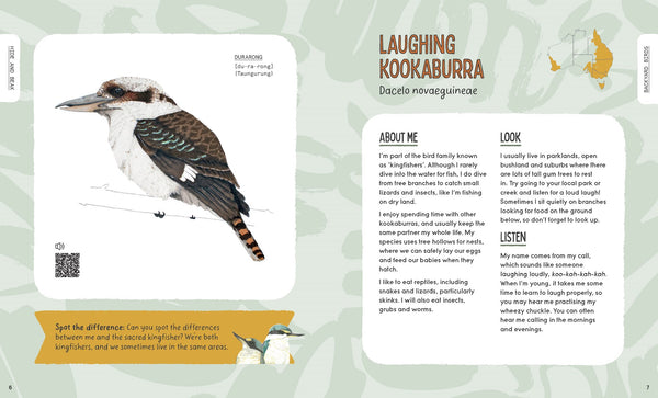 Hide and Beak:  A guide to spotting Aussie birds in your backyard