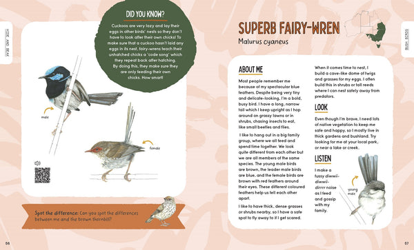 Hide and Beak:  A guide to spotting Aussie birds in your backyard