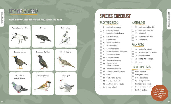 Hide and Beak:  A guide to spotting Aussie birds in your backyard
