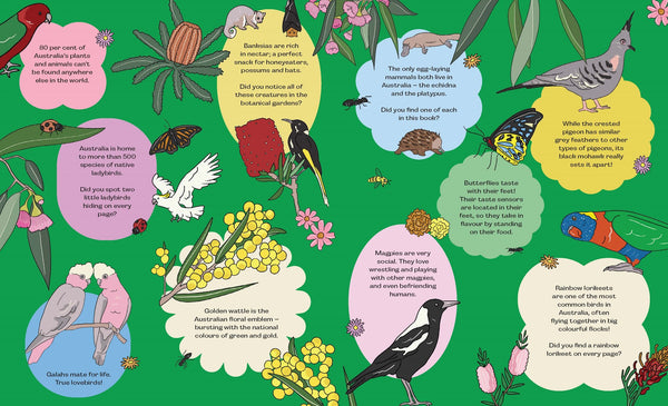 Birds, Blooms & Bugs:  In the backyard