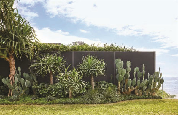 Harbourside Gardens: Outdoor living on Sydney's iconic waterfront