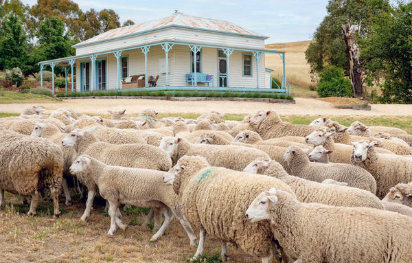 The Verandah: An Australian Way of Living