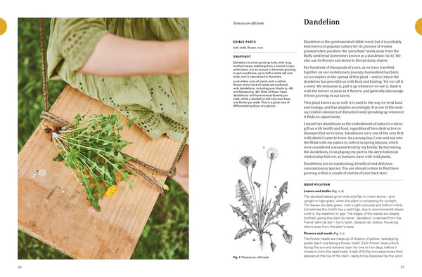 Eat Weeds Paperback