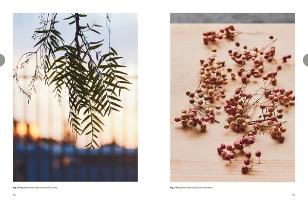 Eat Weeds Paperback