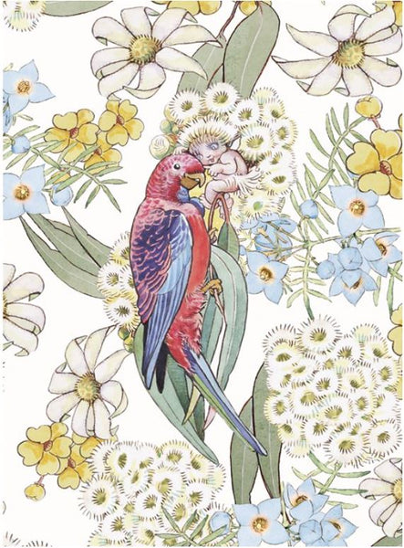 May Gibbs Gift Cards set of 16