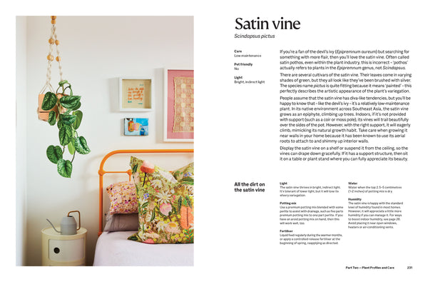 The Plant Book: The ultimate guide to thriving houseplants
