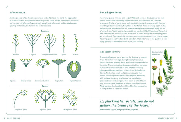 Horti-Curious