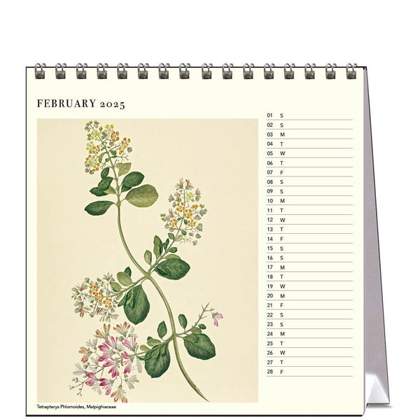 Joseph Banks Botanicals HMS Endeavour 2025 Desk Calendar