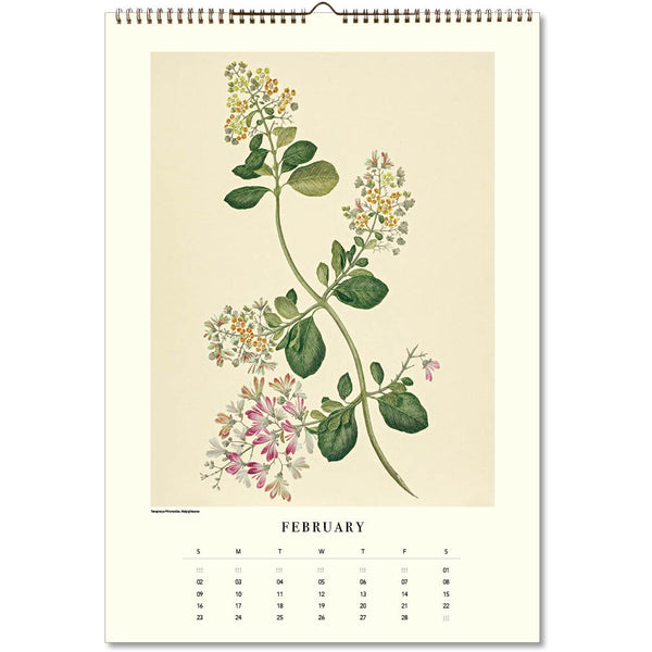 Joseph Banks Botanicals HMS Endeavour Poster 2025 Wall Calendar