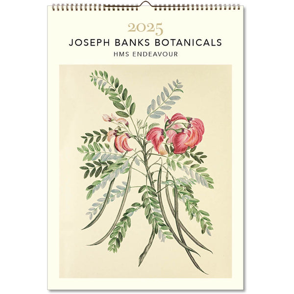 Joseph Banks Botanicals HMS Endeavour Poster 2025 Wall Calendar