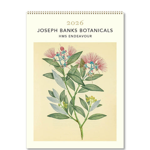 Joseph Banks Botanics HMS Endeavour 2026 Medium Wall Calendar