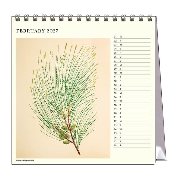 Joseph Banks Botanicals HMS Endeavour 2027 Desk Calendar
